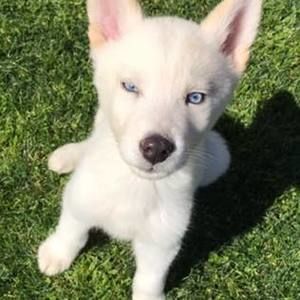 Meet your Posher, Edu